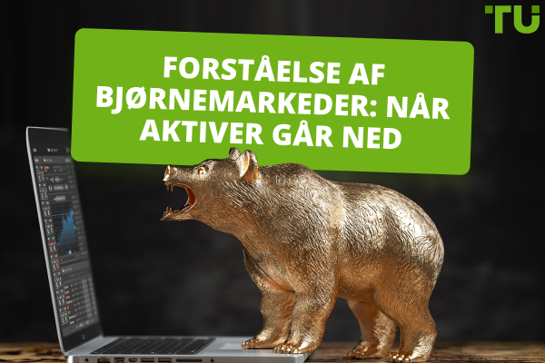 Hvad er et bjørnemarked? Sådan overlever du og tjener penge